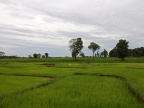 P1062341