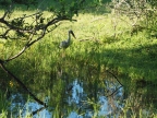 P1072456