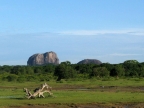 P1072517