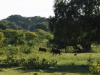 P1072536