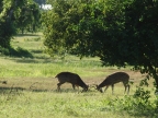 P1072545