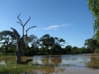 P1072556