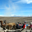 Mirador de los Andes